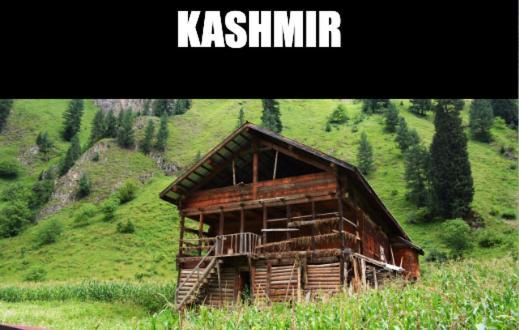 Kashmir Hill Town Hotel Srīnagar Eksteriør billede